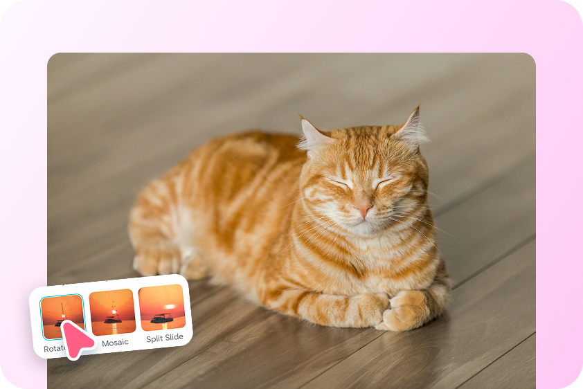 Special marketing videos