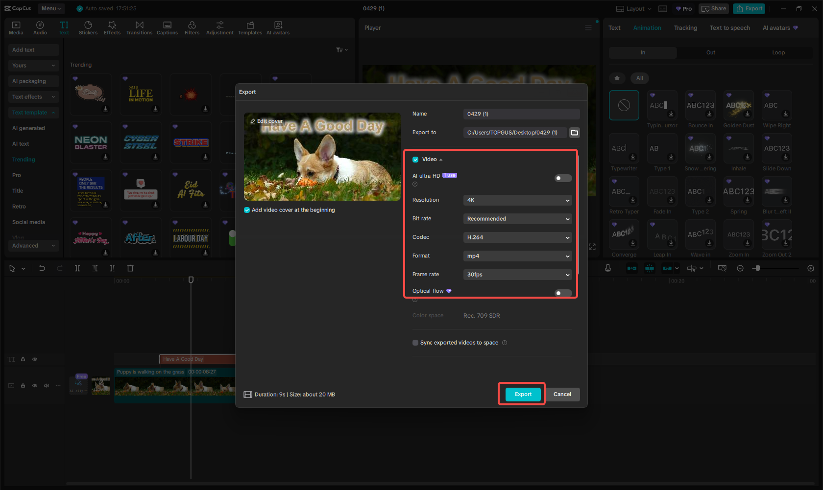 Export the video