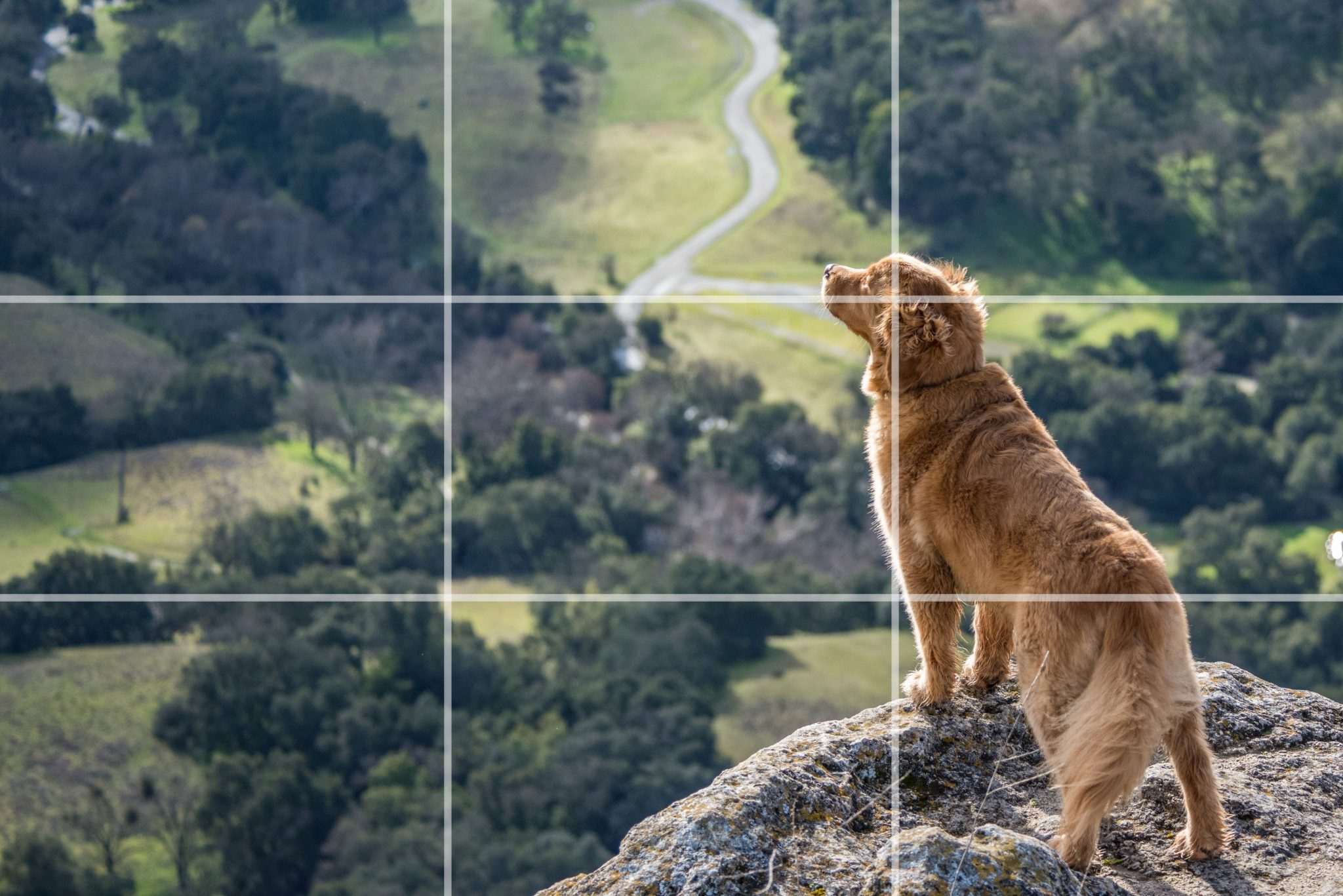 Rule of thirds photography