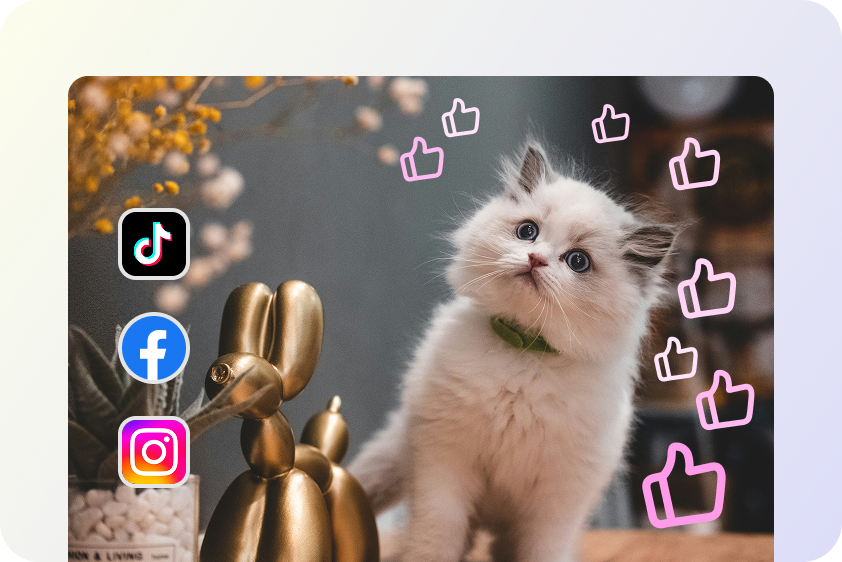 Maak boeiende inhoud voor sociale media.