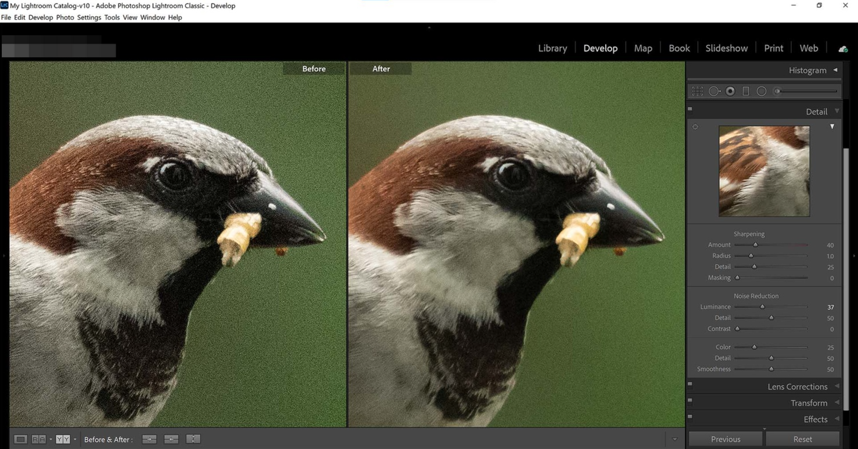 Fine tuning the image with Adobe Lightroom online photo editor