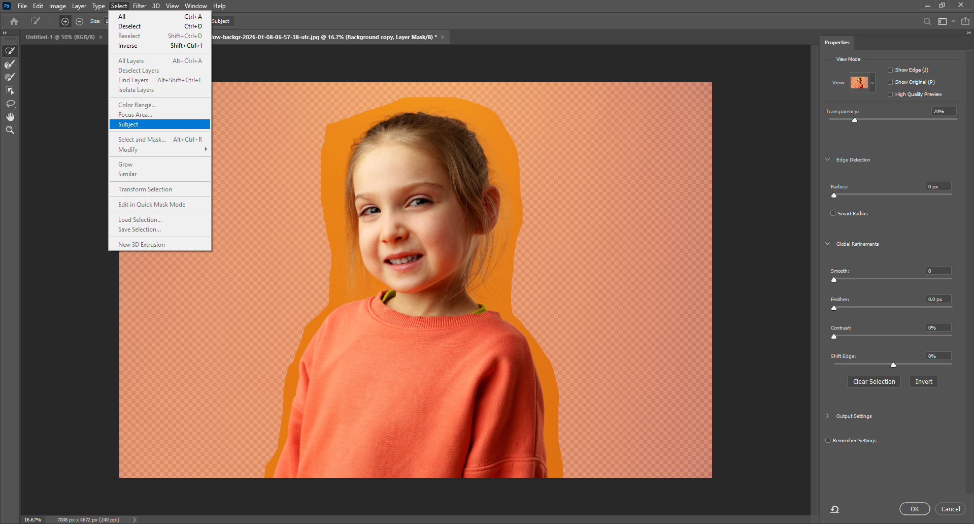 Refine and edit the image