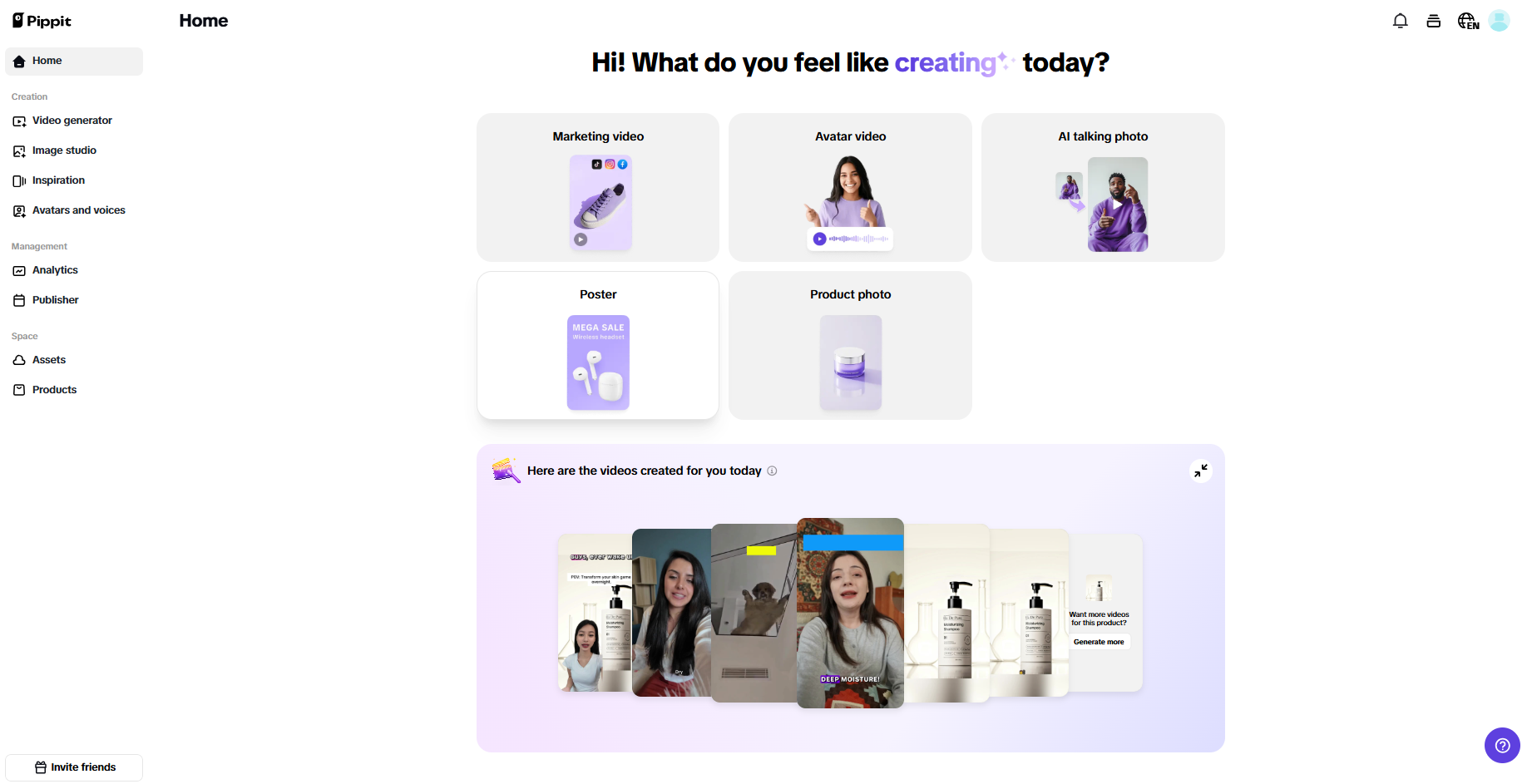 Pippit interface