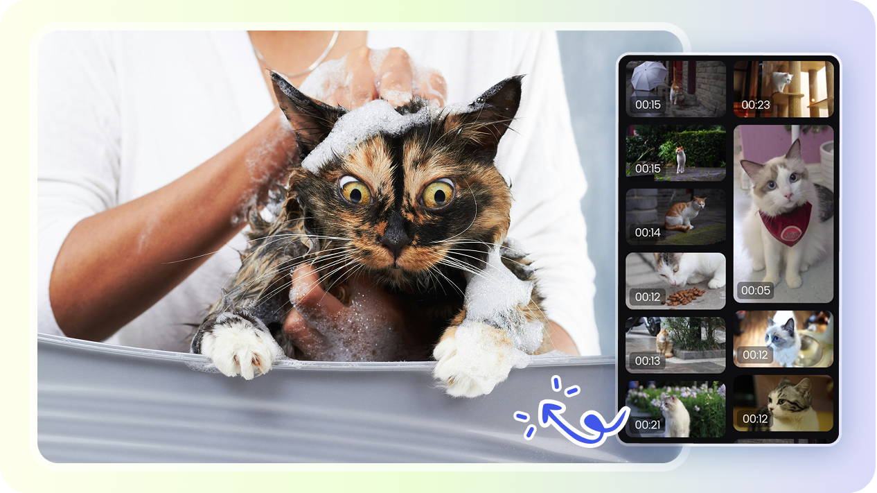 Automated chaotic meme-clip sourcing