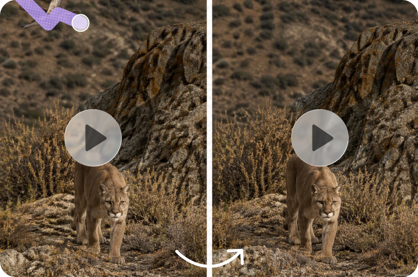 Improve documentary video editing workflows