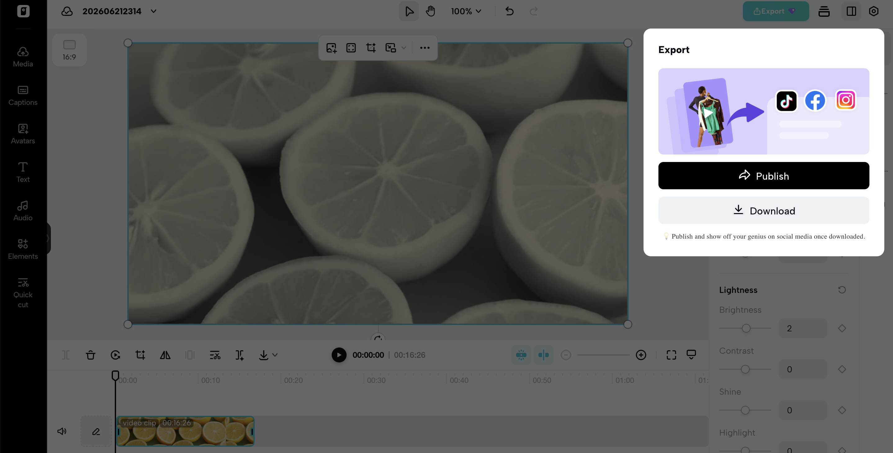 Export the video