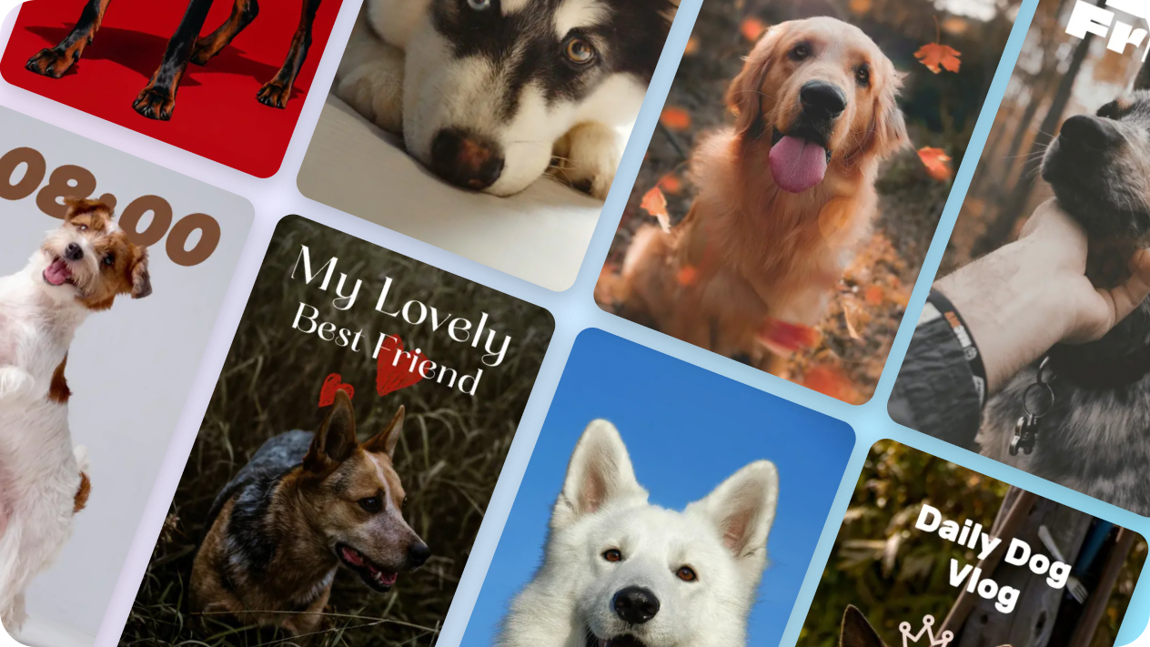 Preset templates for dog posters