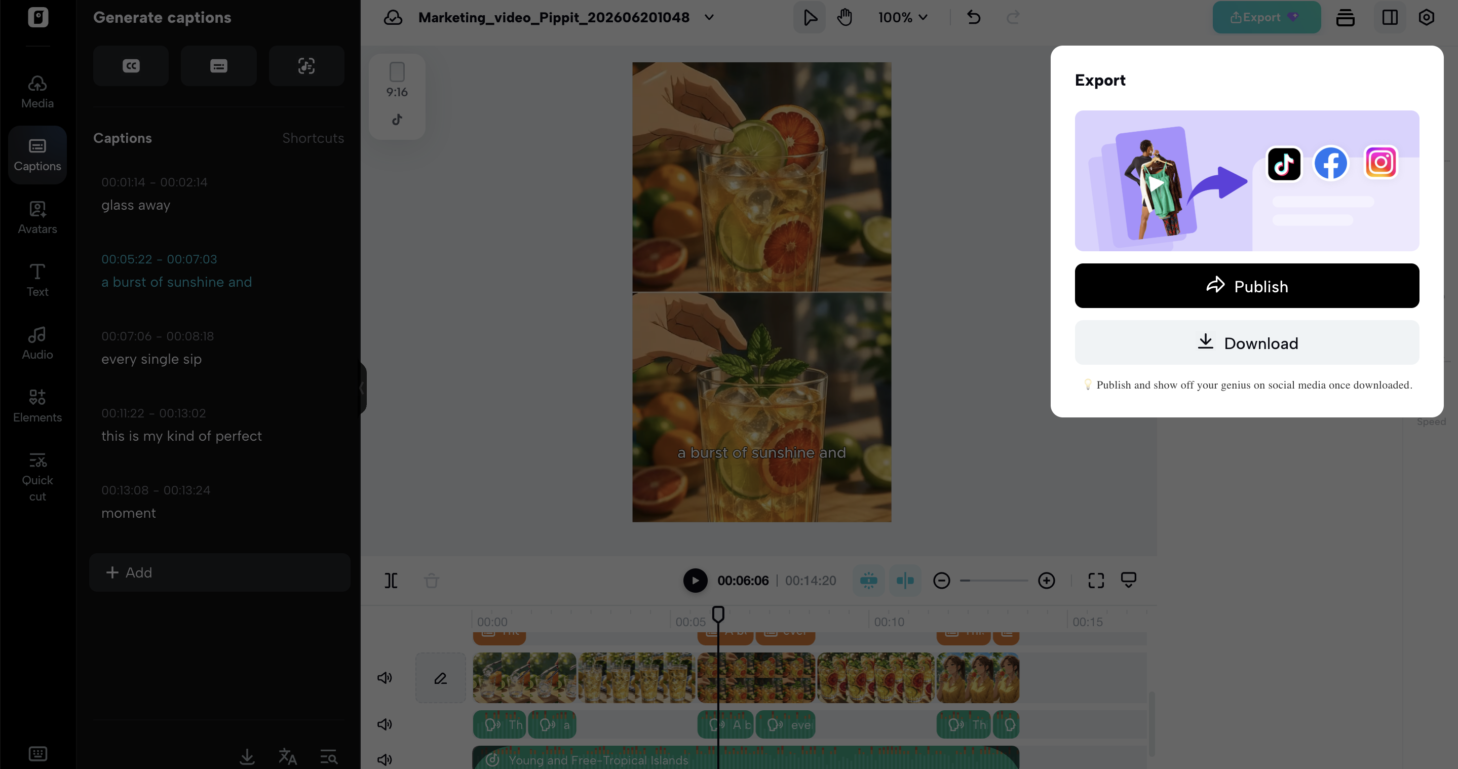 Preview and download