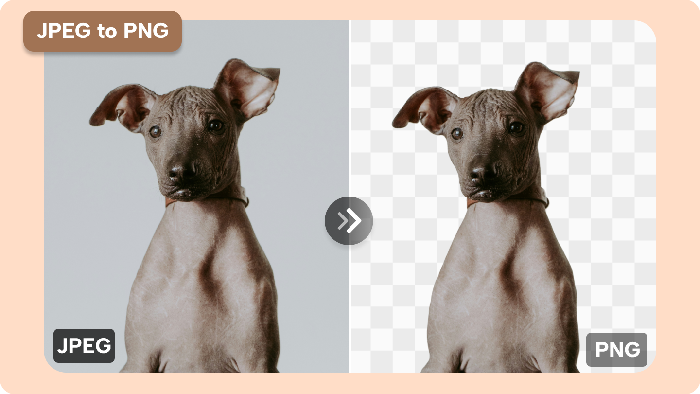 jpeg to png converter