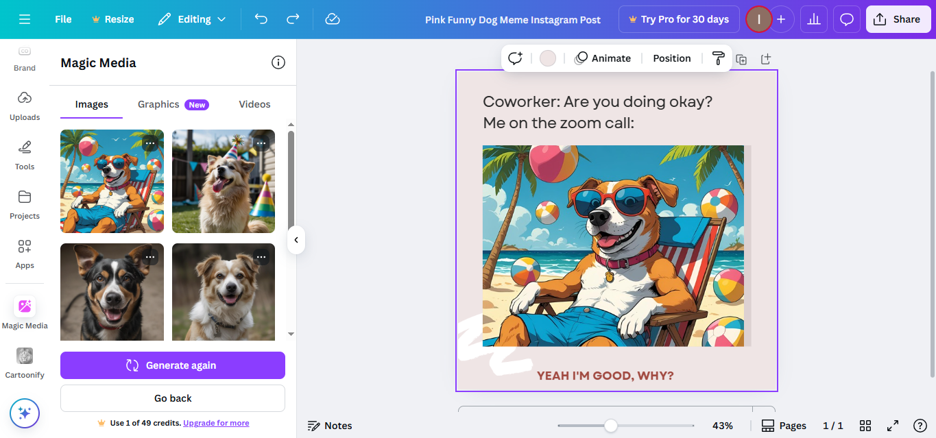 Interface of Canva - free online funny photo maker