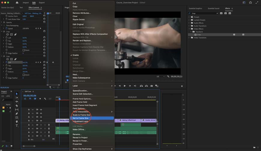 Apply the Set frame size option in Premiere Pro