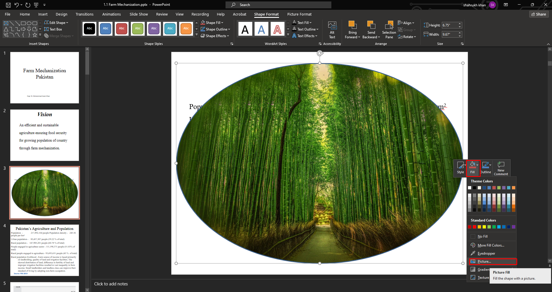 Fill the shape with a picture