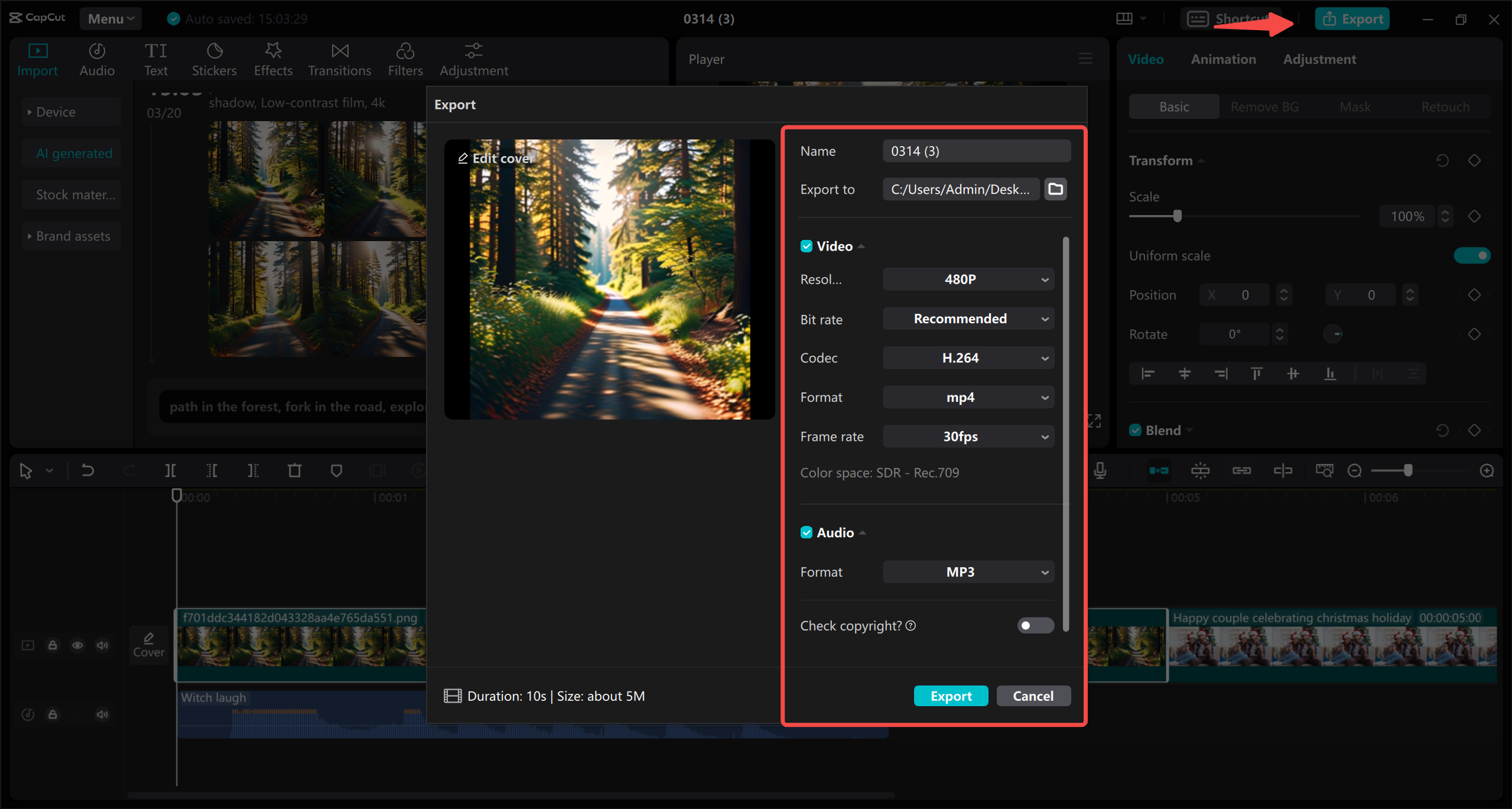 Export your video