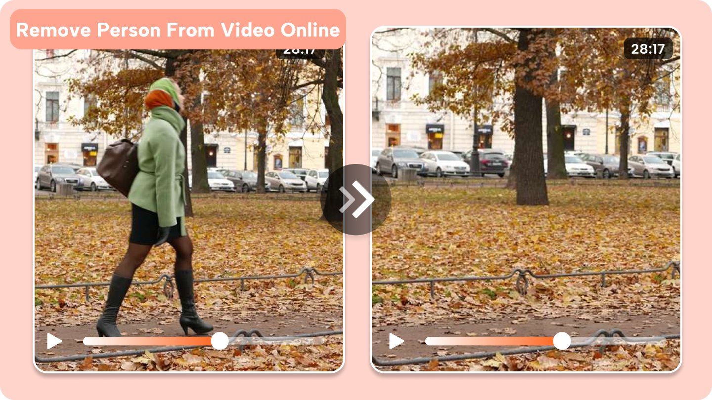 Remove person from video online free 