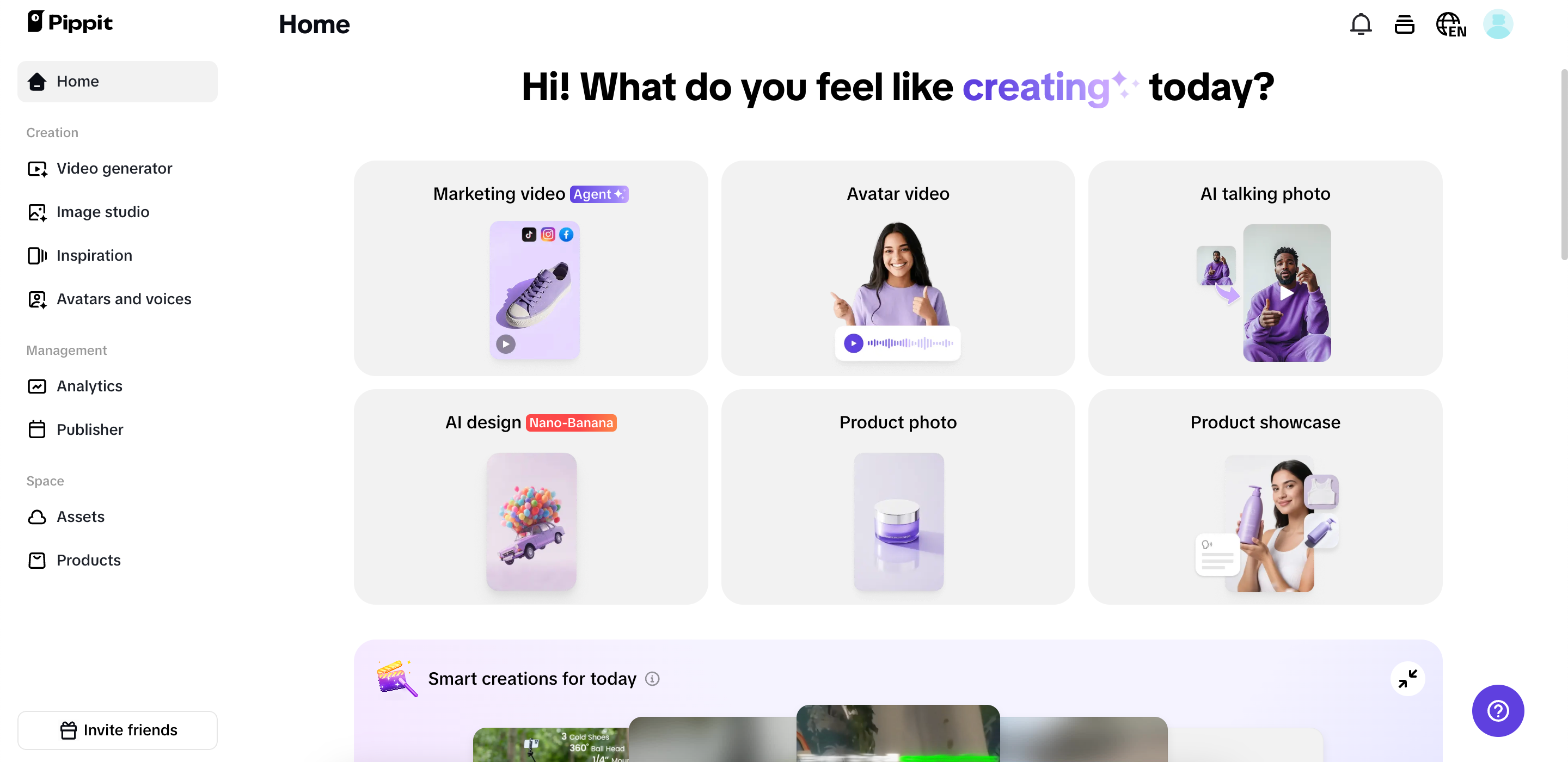 Pippit interface