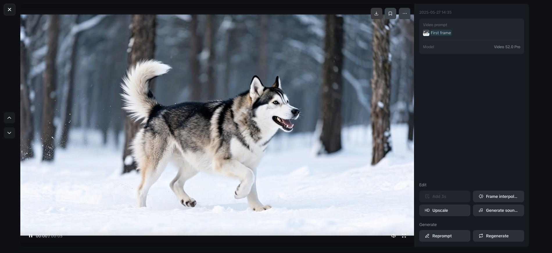 Professional photography