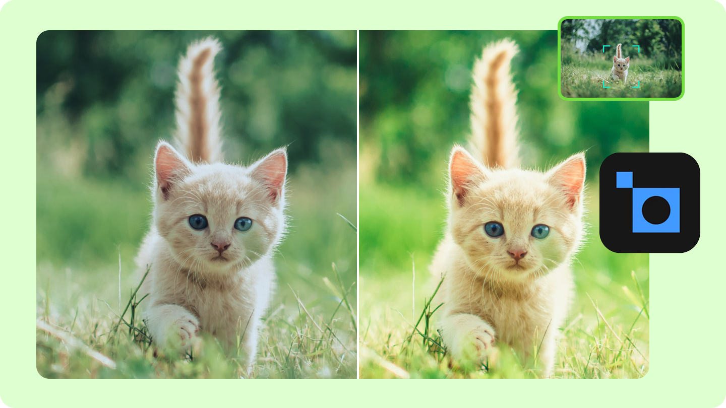 Reseña de Topaz Photo AI