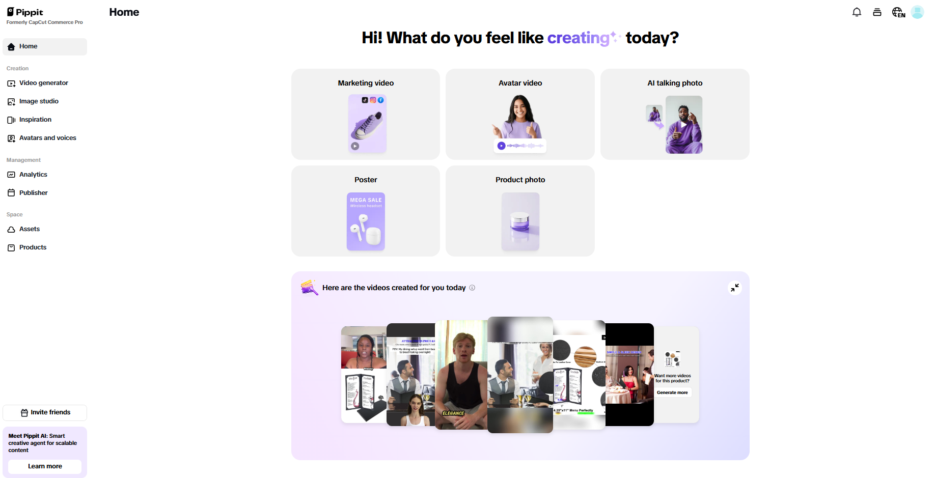 Pippit interface