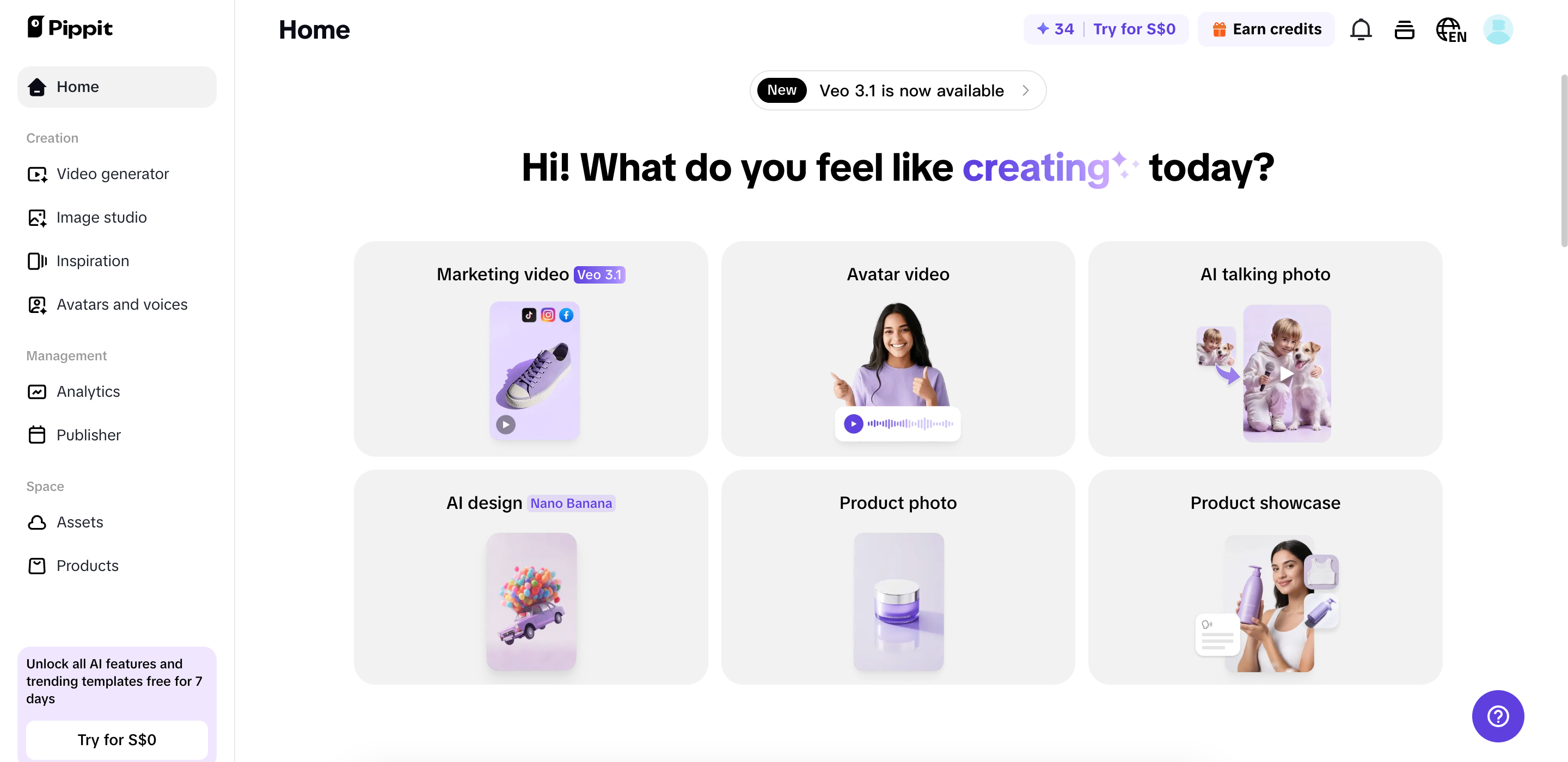 Pippit interface