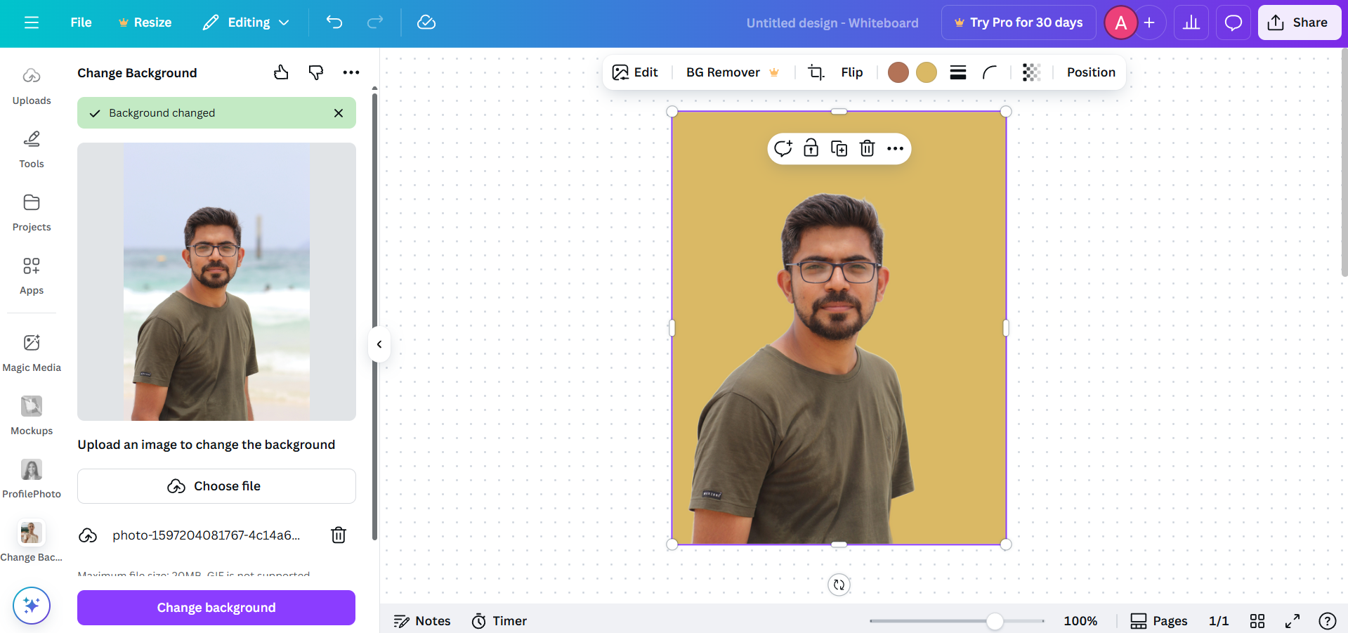Canva background change interface