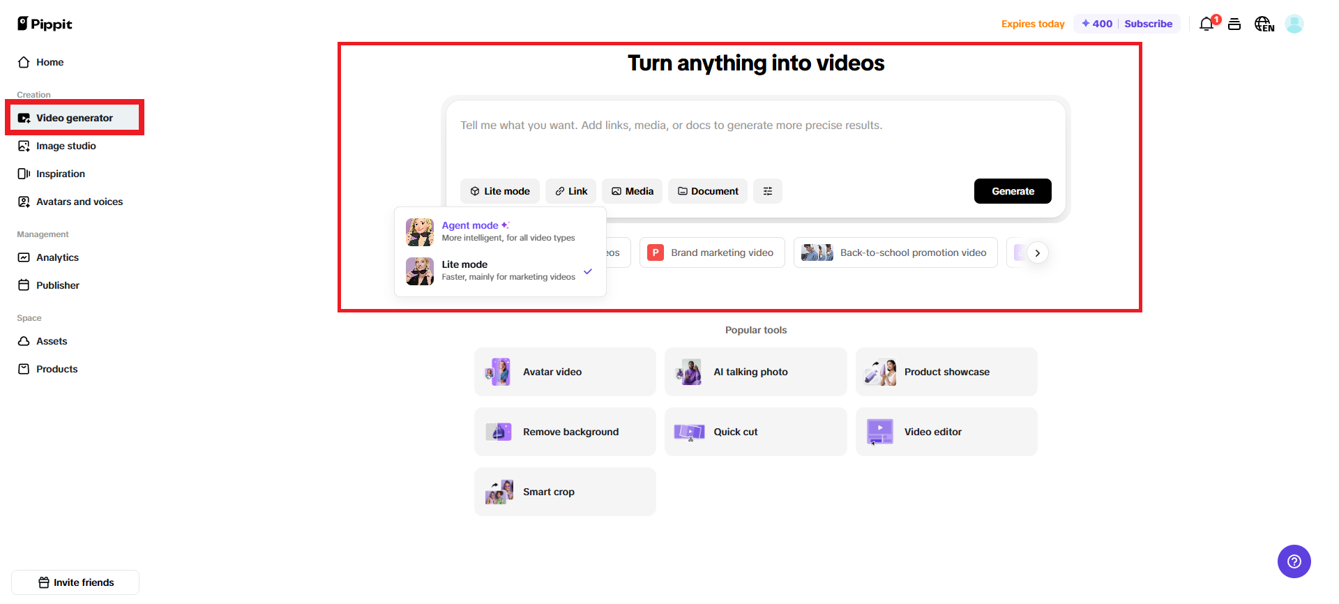 Input your video generation prompt