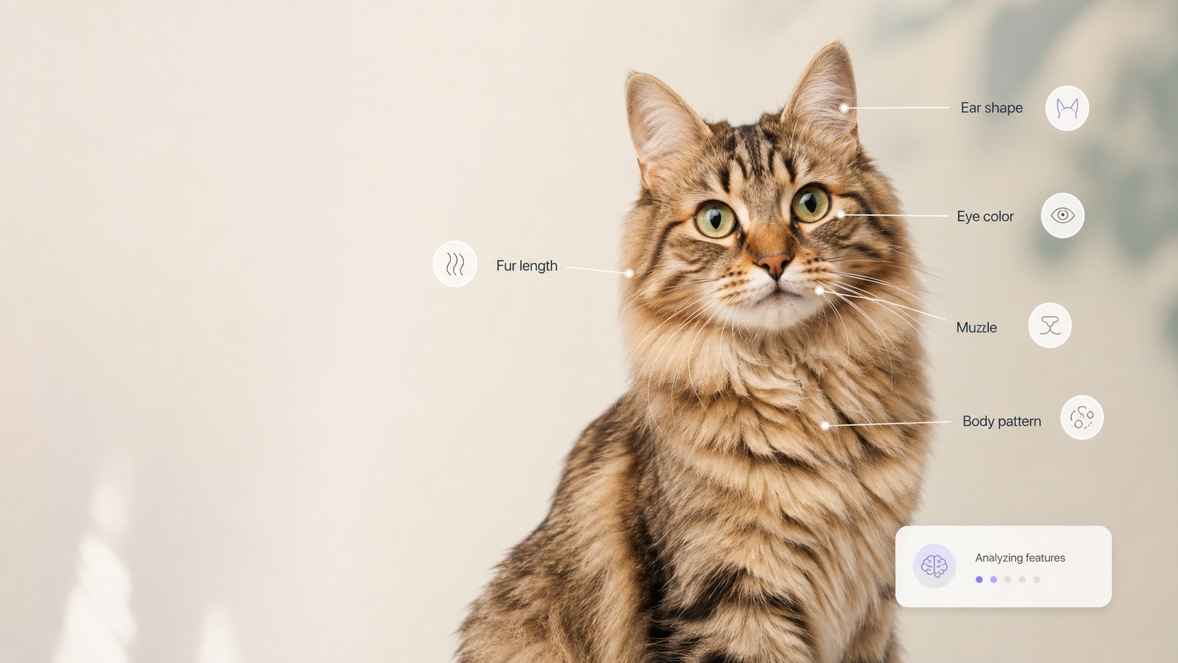 AI Cat Breed Identifier AI-Analyseergebnis