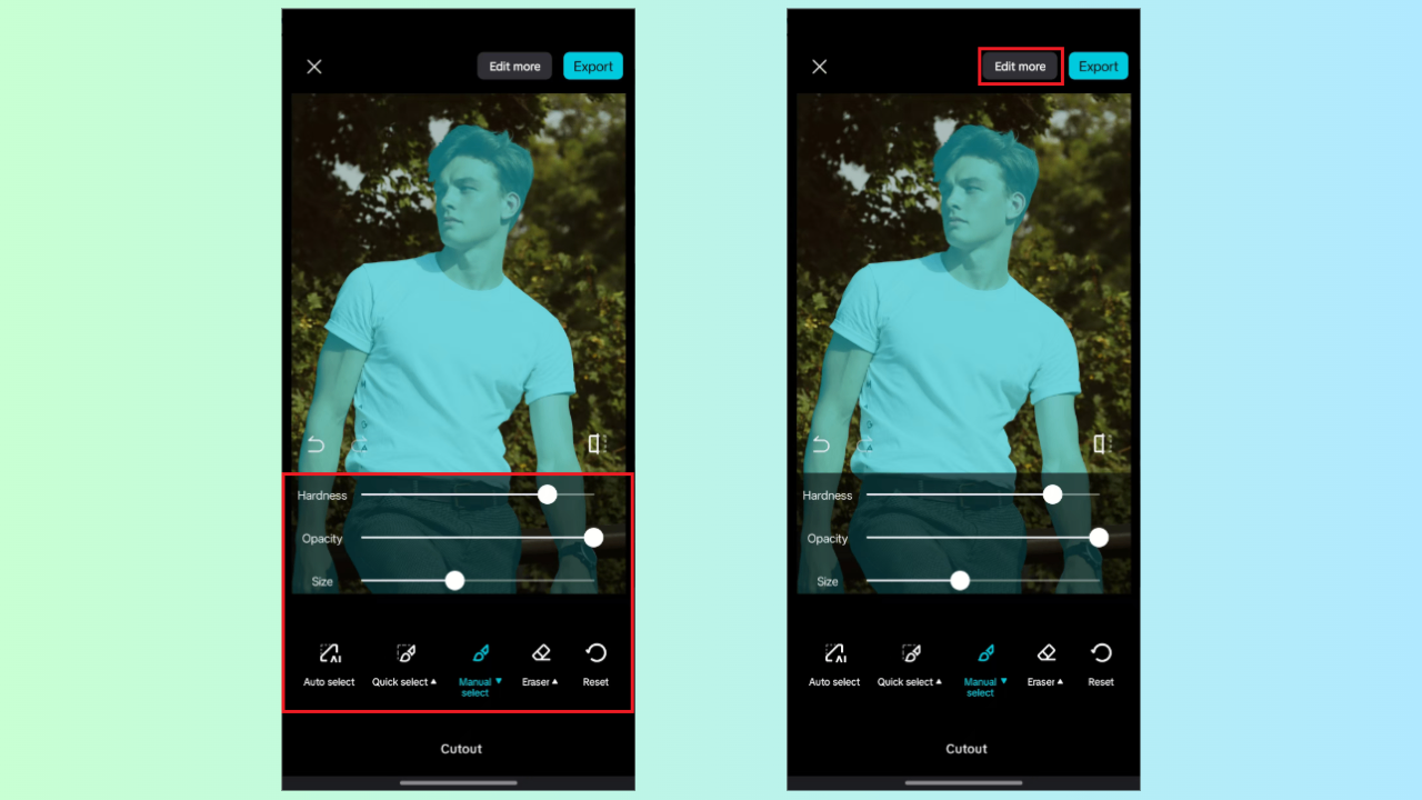Refine cutout and enter image editor