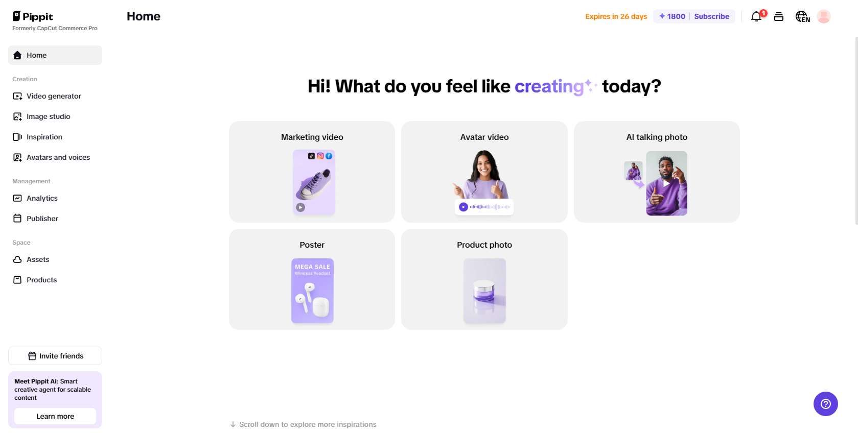 Pippit's homepage
