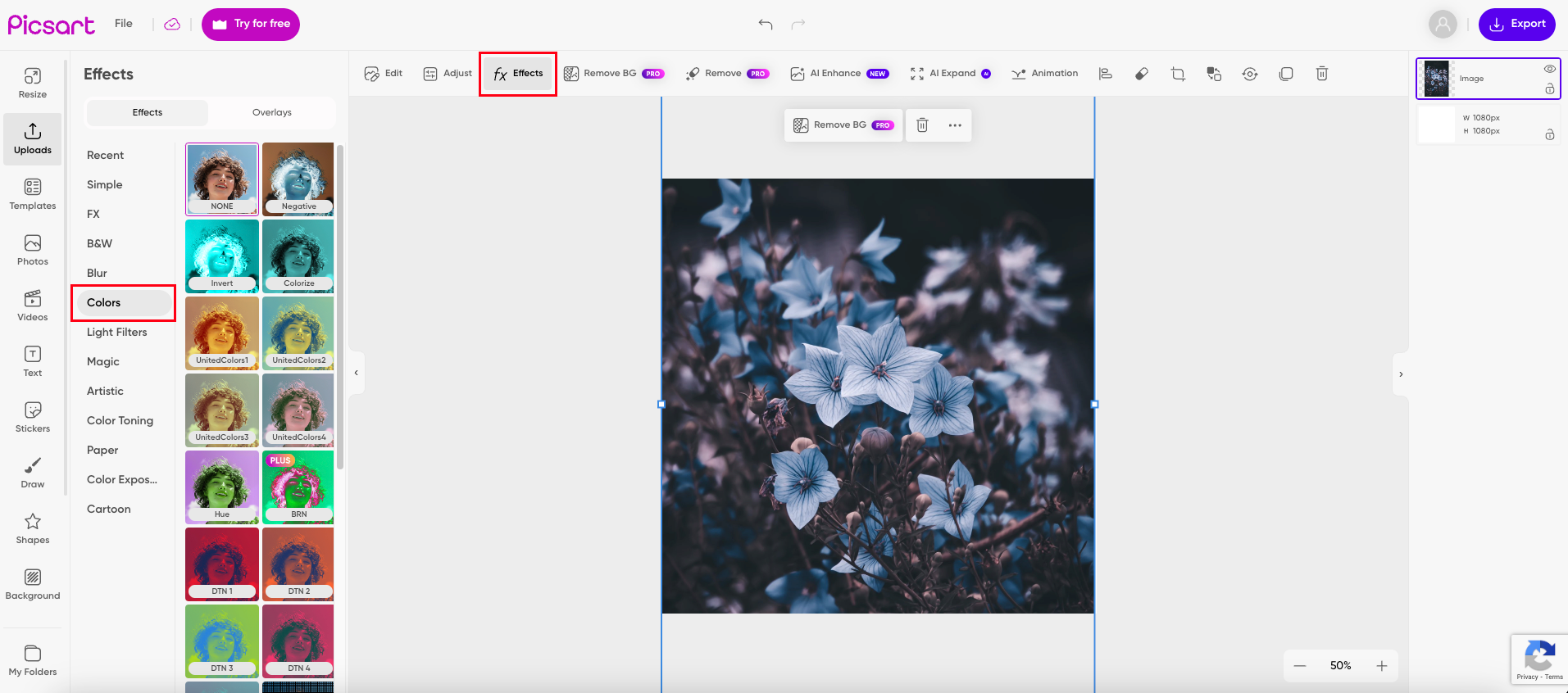 Click on "Effects" then "Colors" to AI recolor photo