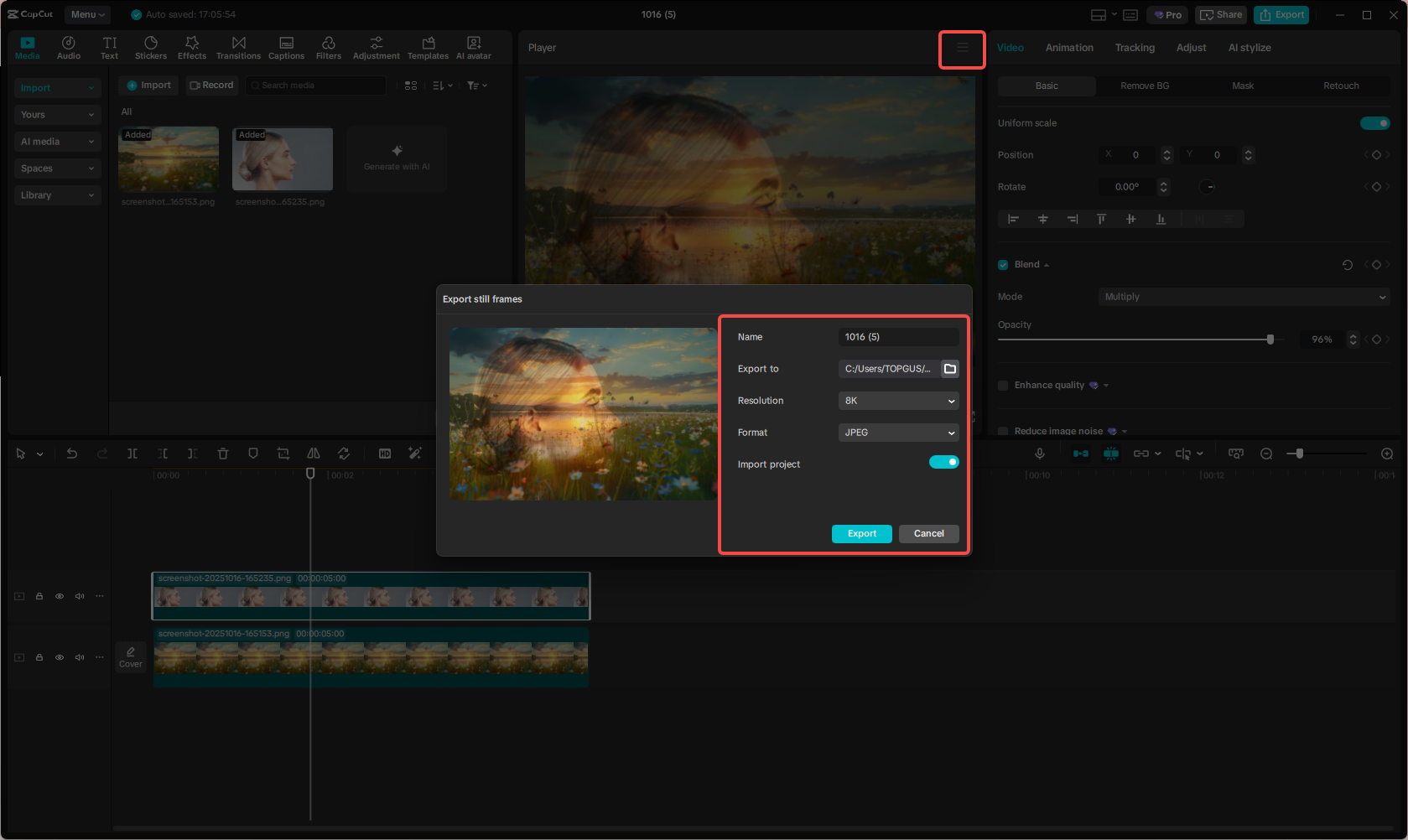 Export the merged image