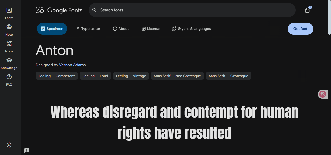 Google Fonts
