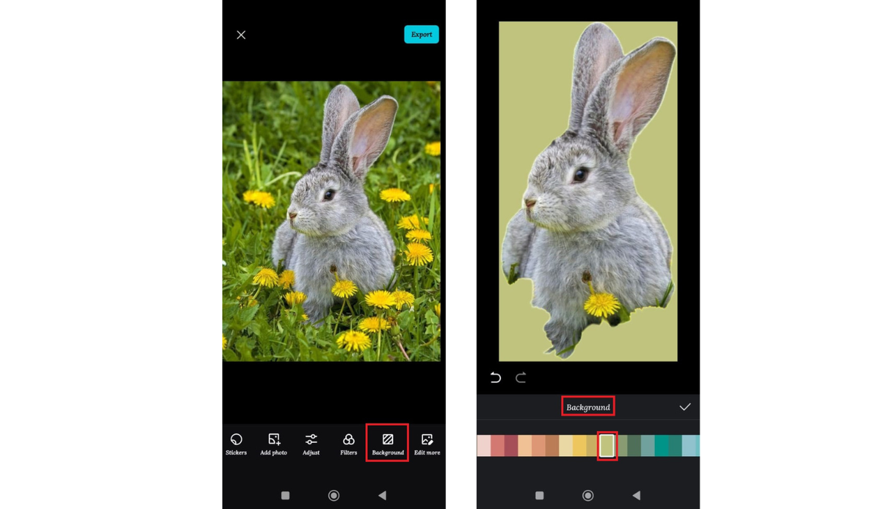 background changer
