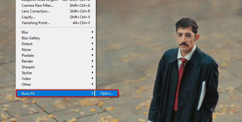 Use the Boris FX optics