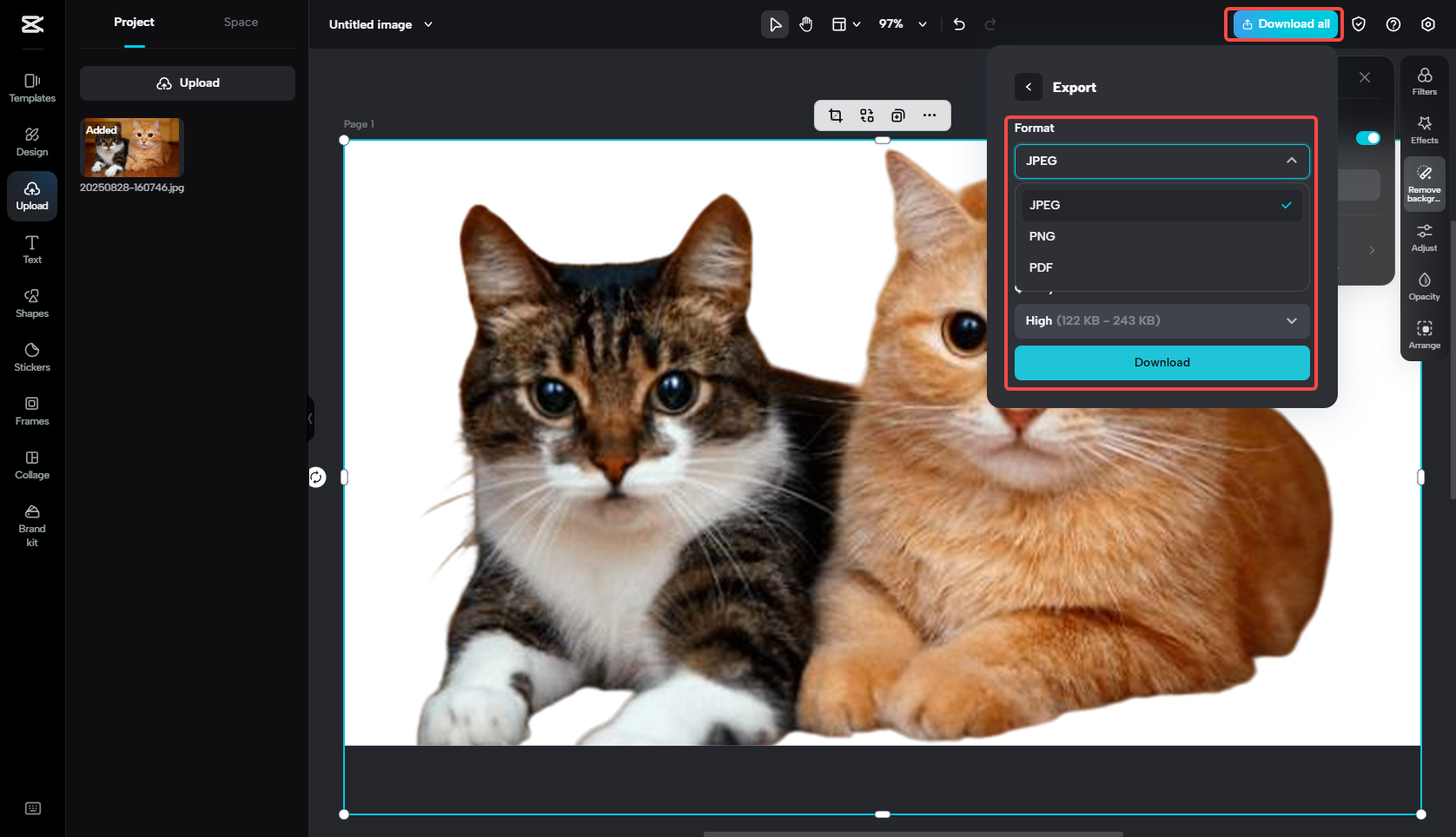 Exportieren Sie das transparente Hintergrundbild