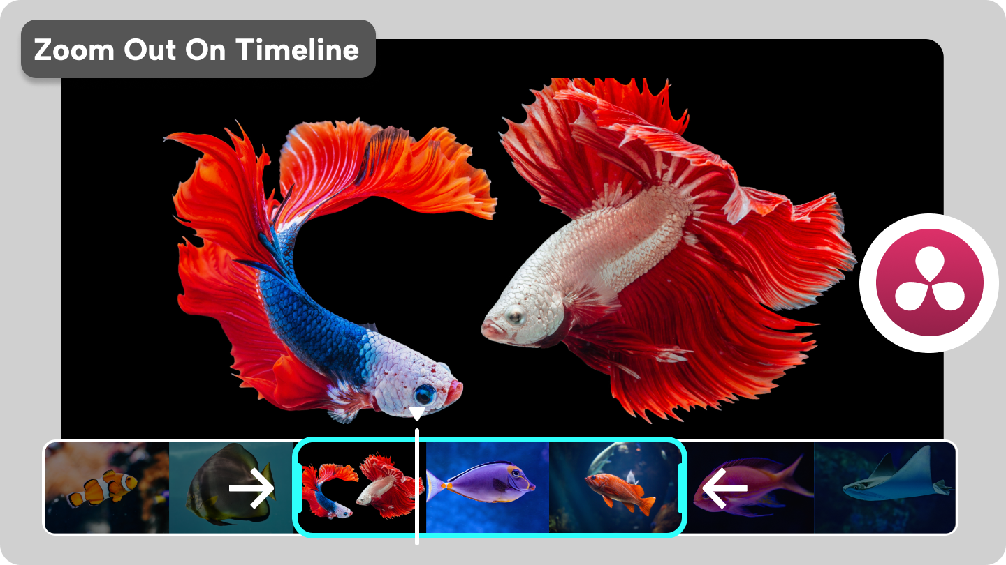 davinci resolve zoom out timeline