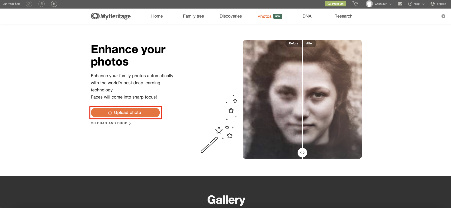 myheritage photo enhancer cost