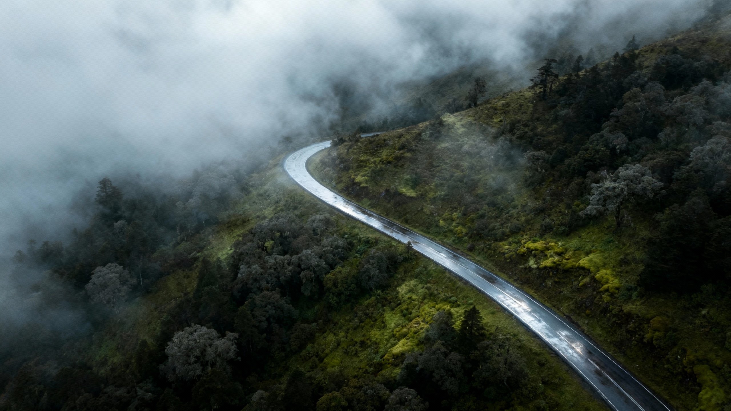 Overcast mountain road