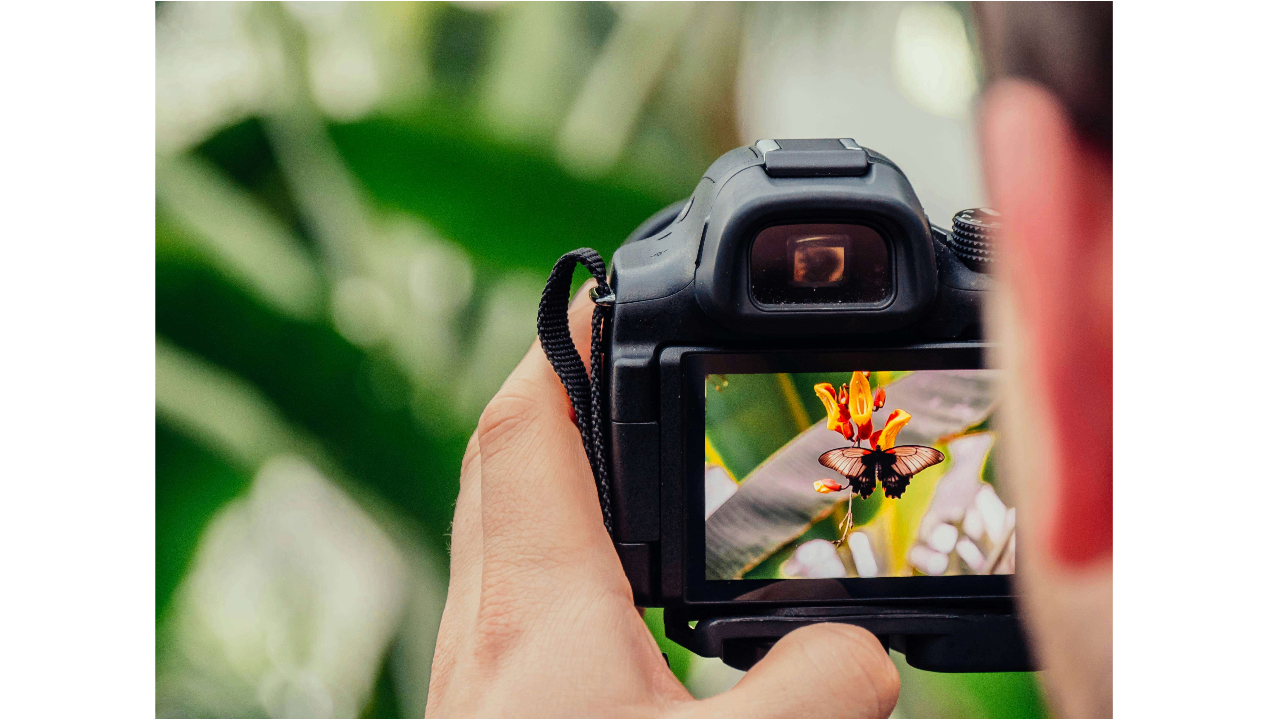 Tips for effective photo blending and merging