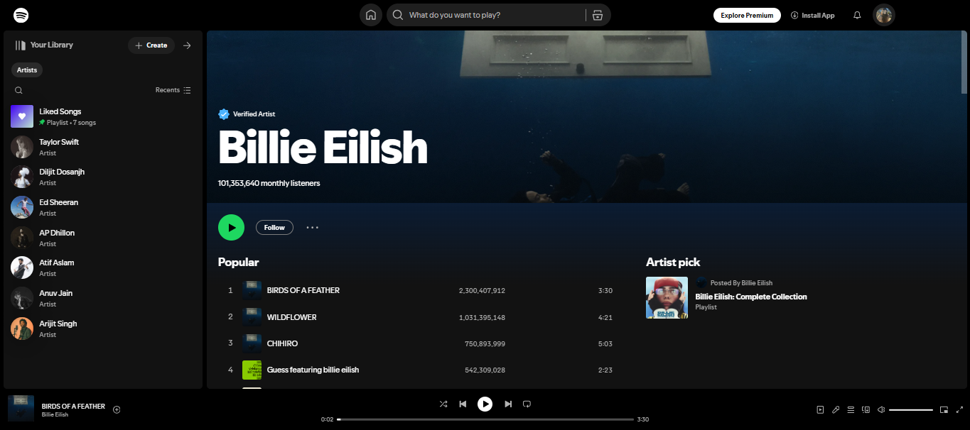 Billie Eilish - one of Spotify's top 200 artists