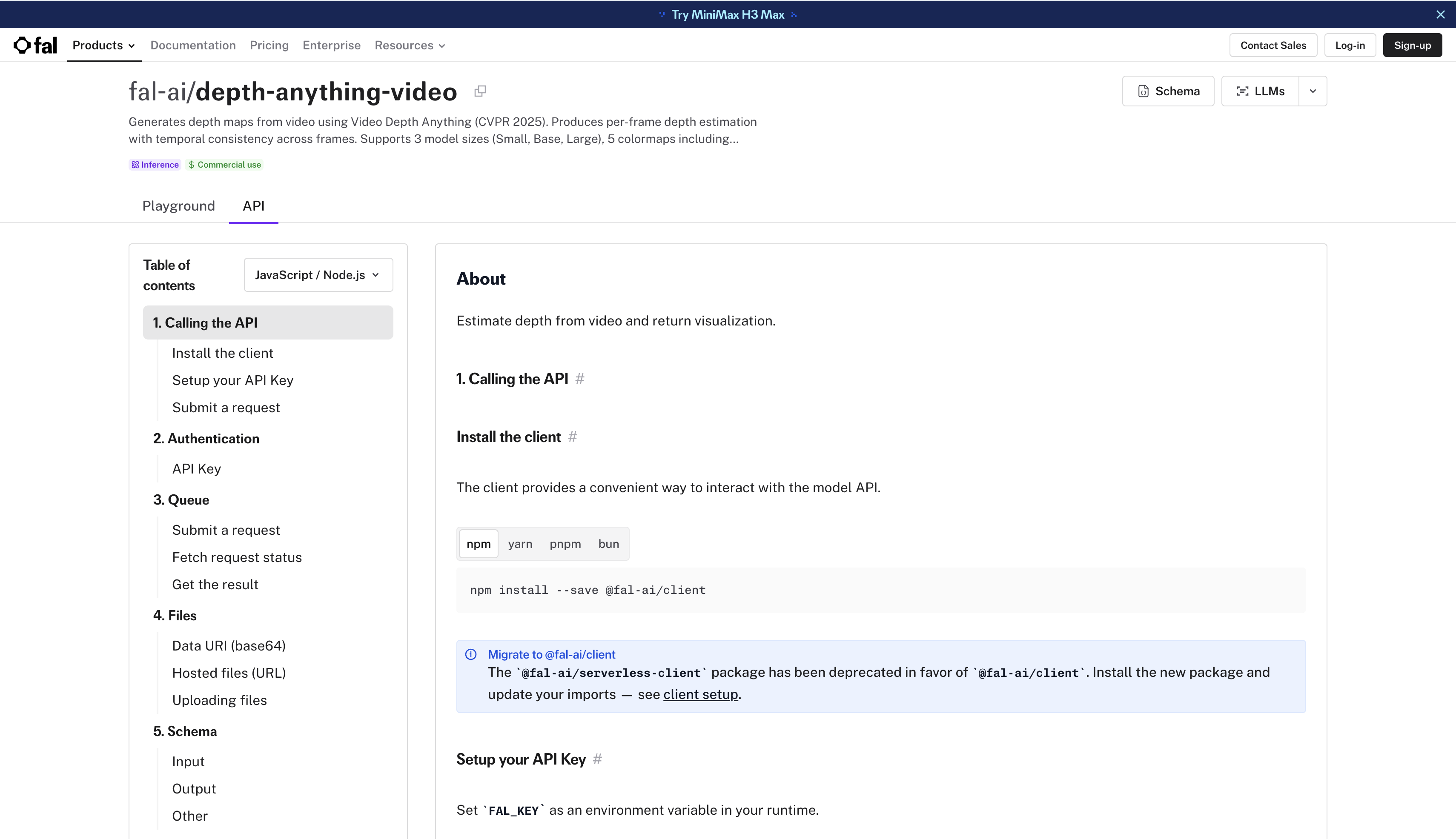 API setup for Video Depth Anything