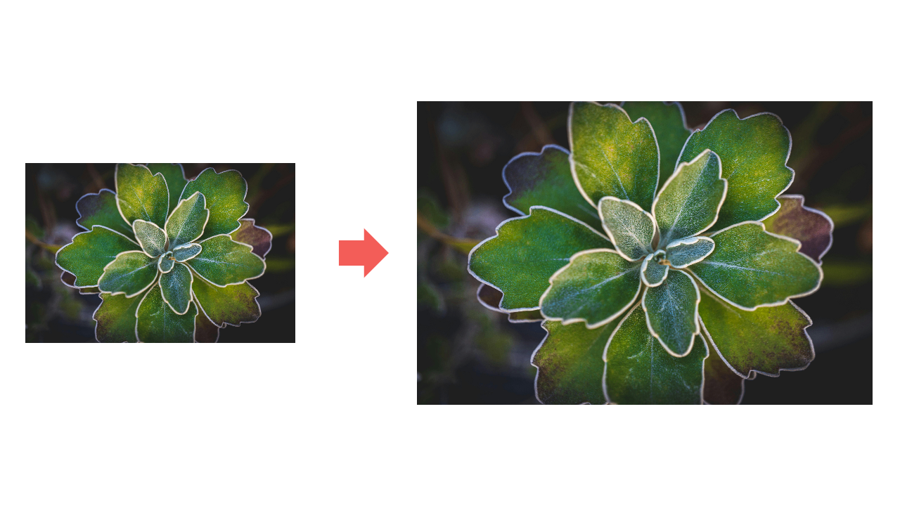 watercolor leaves background