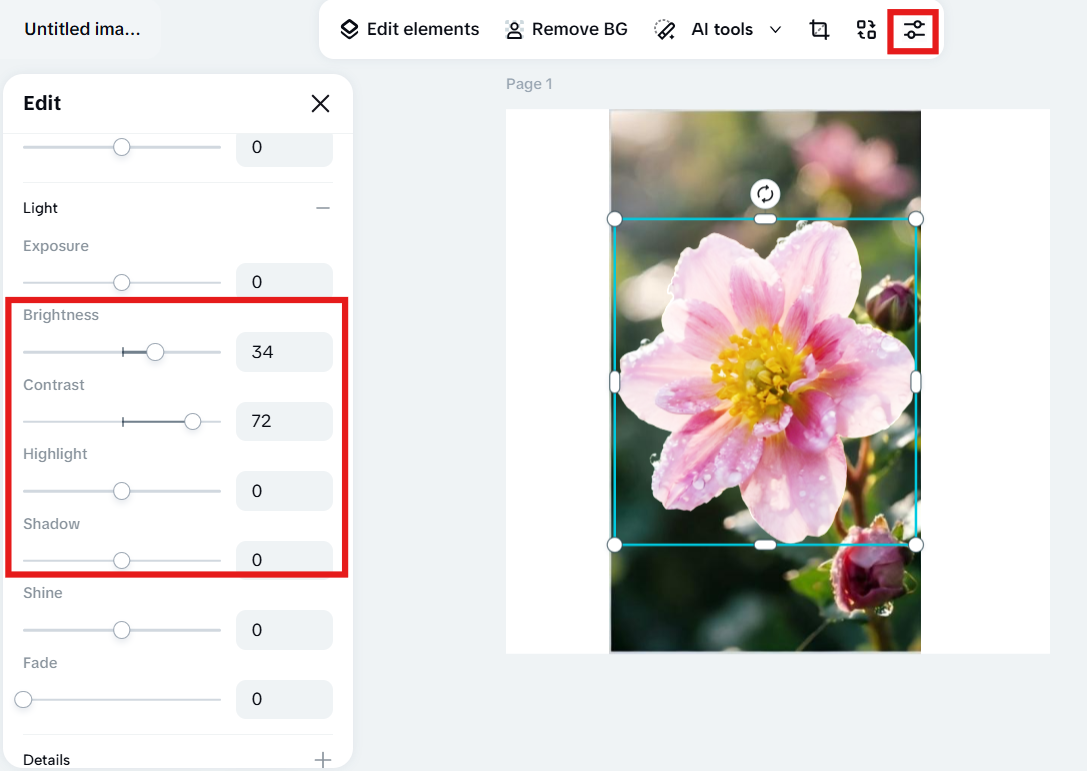 Adjust the image in CapCut Online