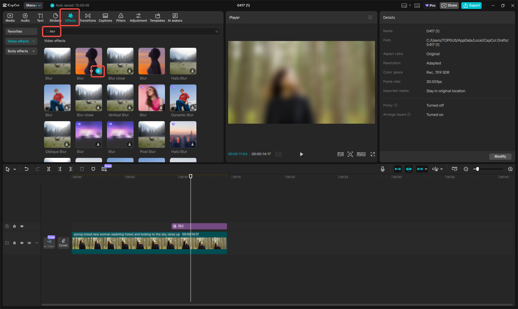 טשטש את כל הסרטון