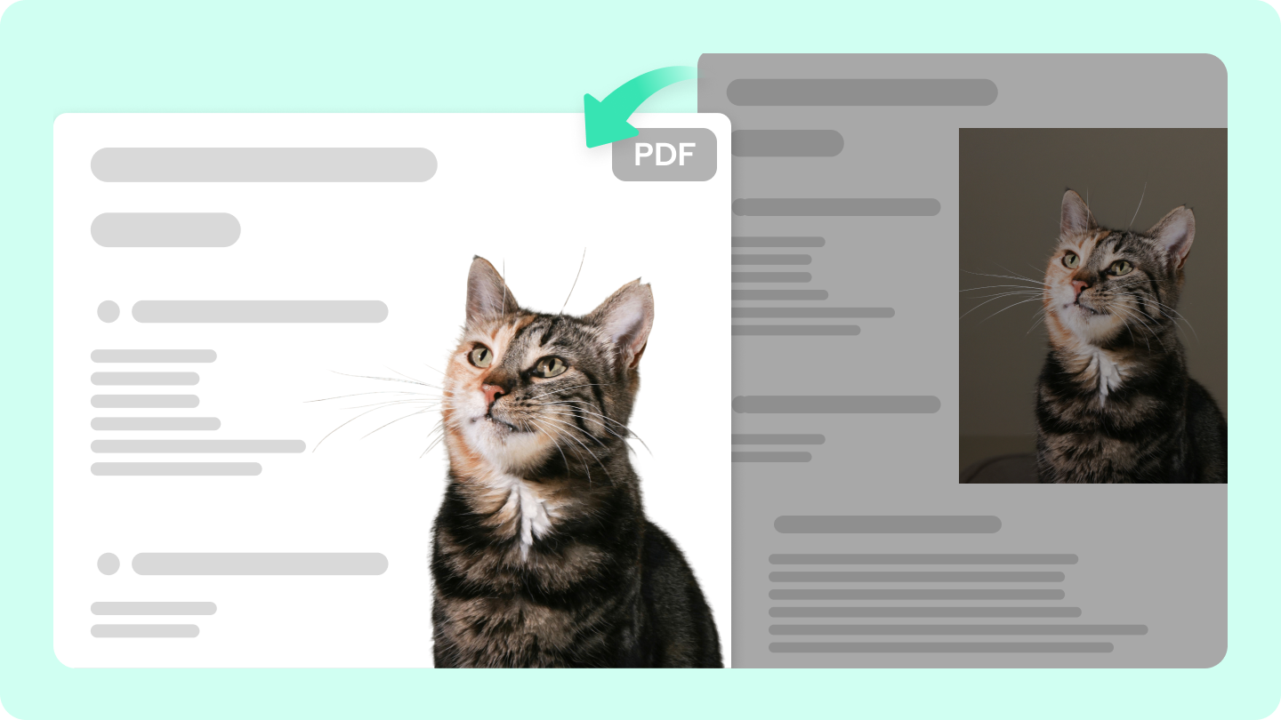 pdf background remover 