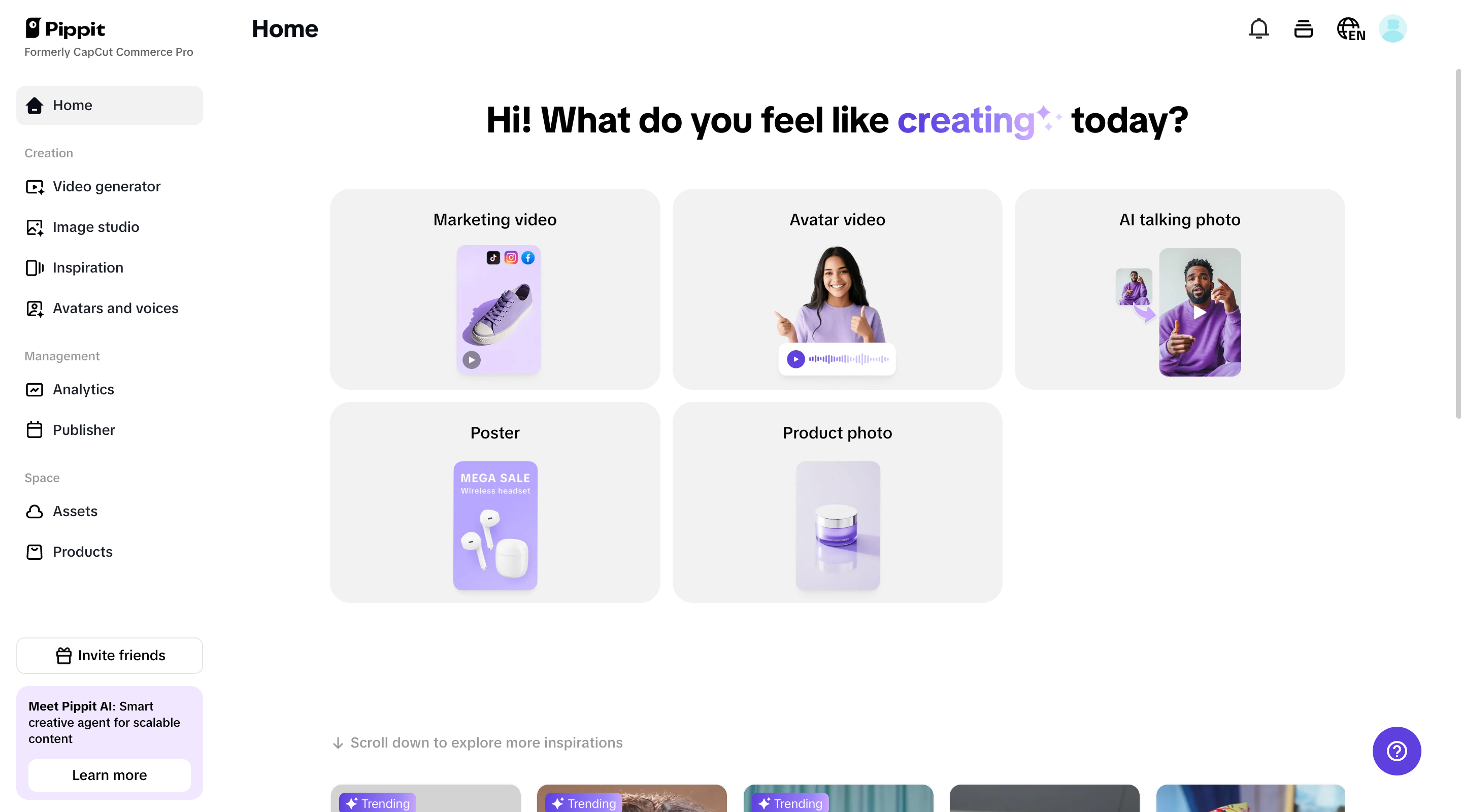 Pippit homepage