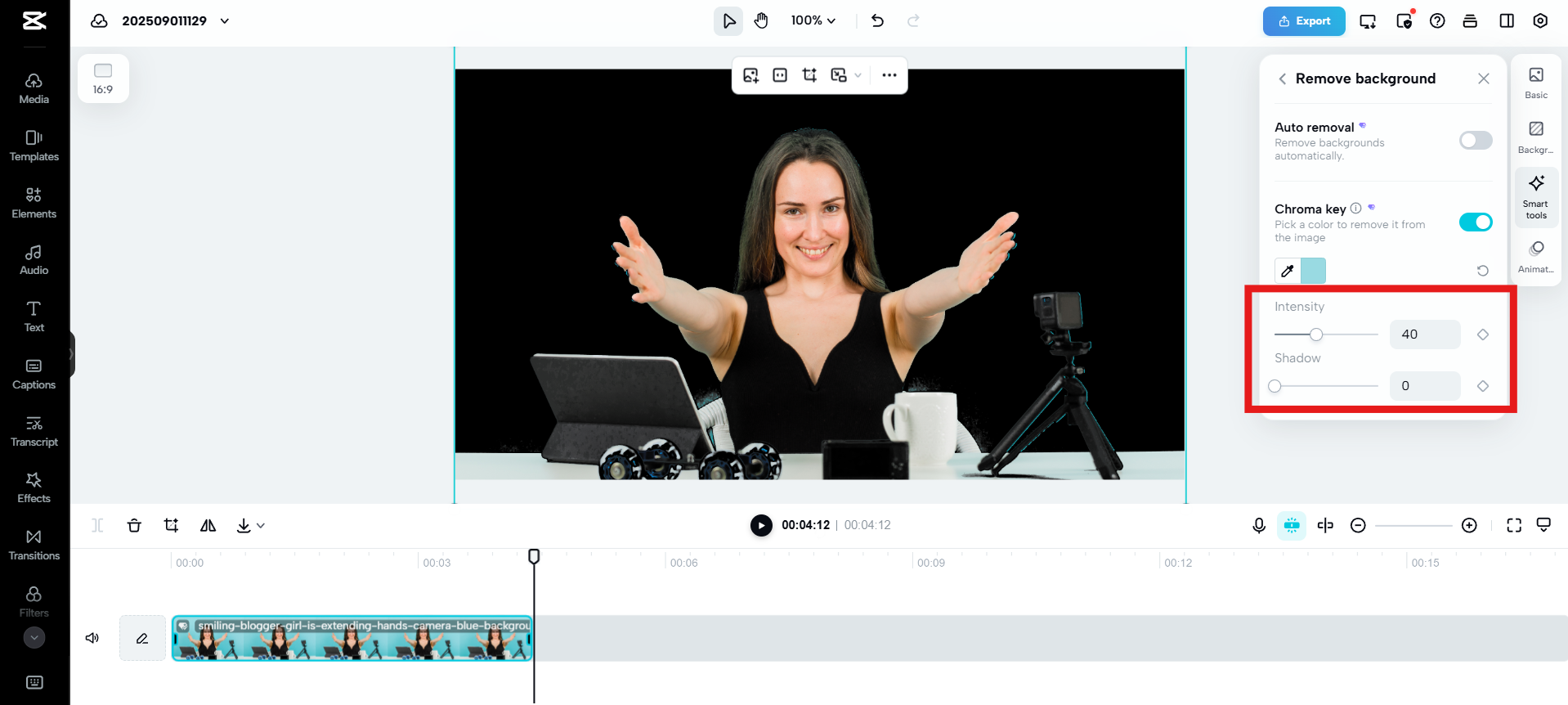 Adjust the intensity and shadow