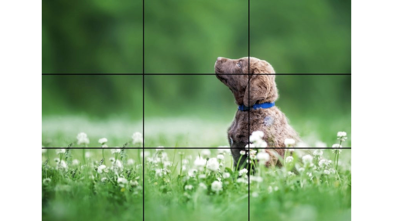 Regel van Derden voor verbeterde compositie