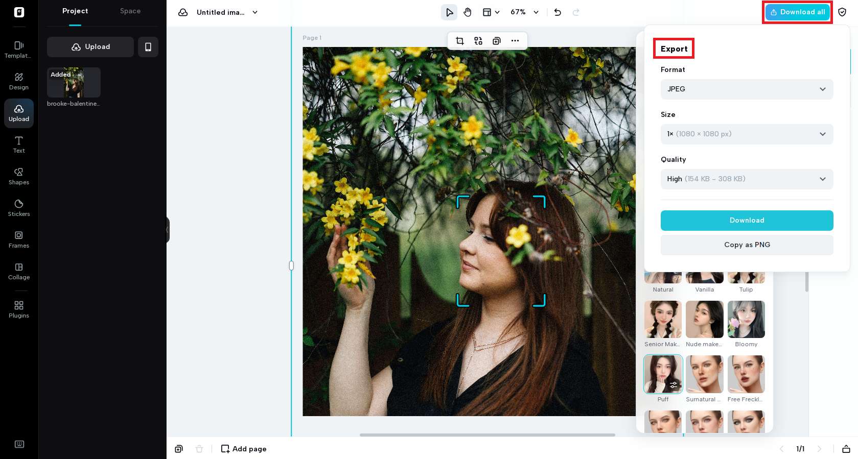 Export the finalized image