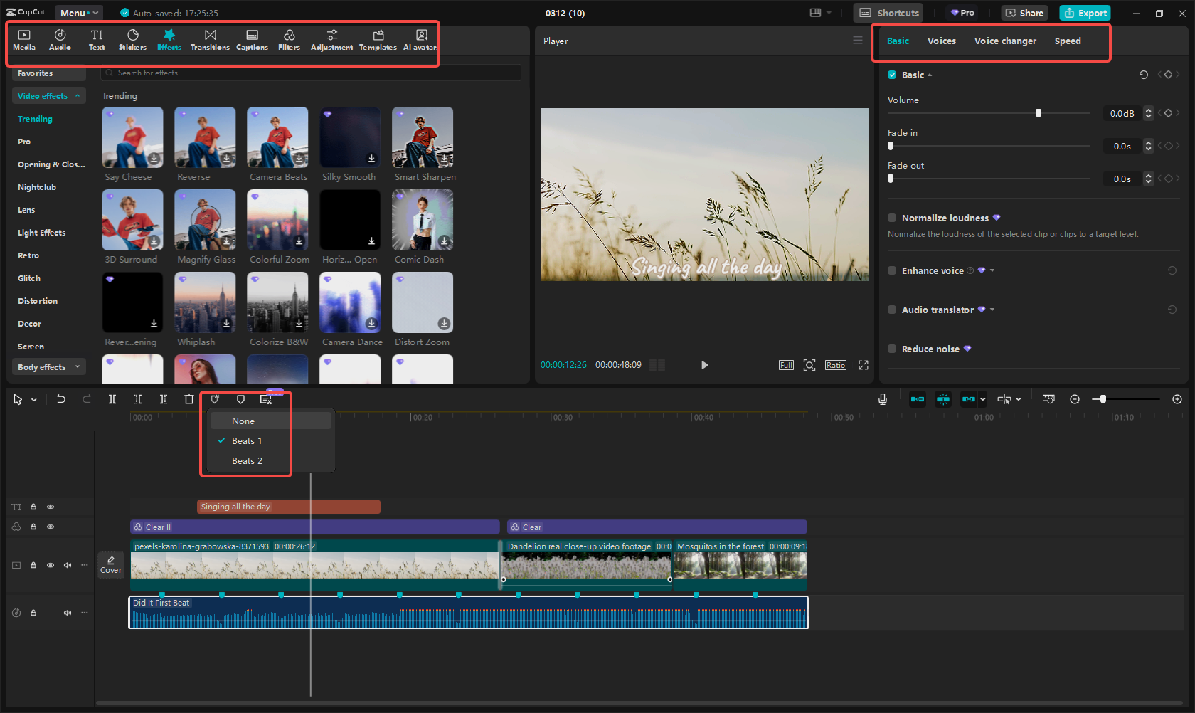 Customize your music video