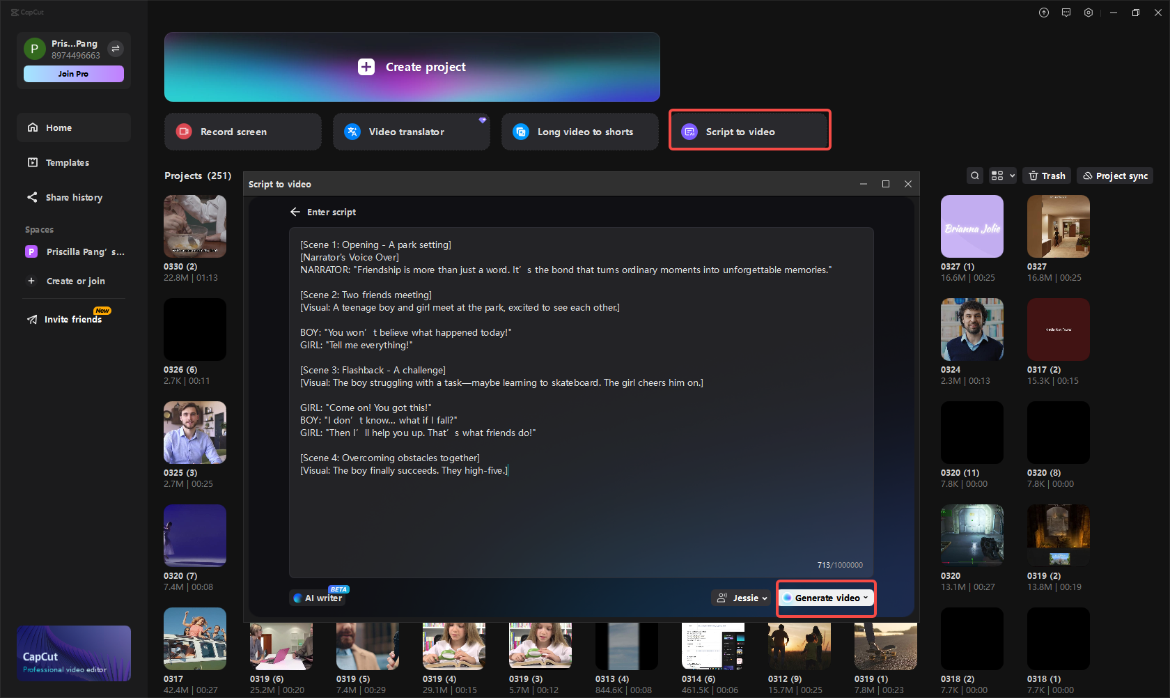 Eingabe des von GPT-4o Canvas generierten Skripts